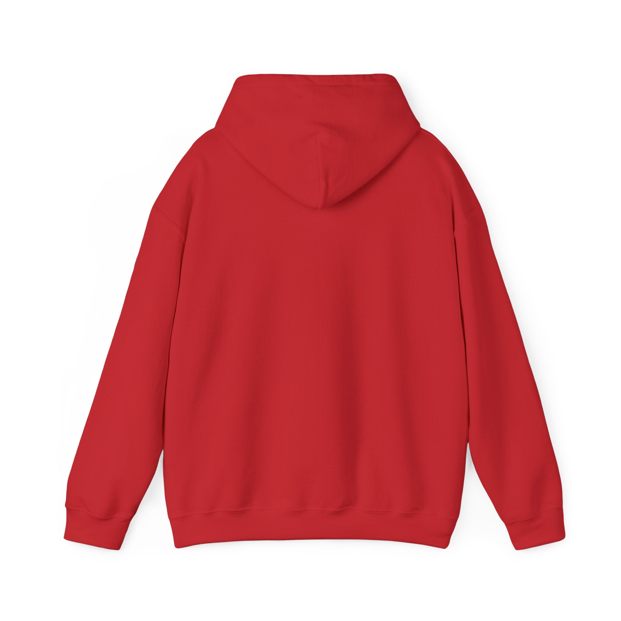 Original A12A Logo Adult Hoodie
