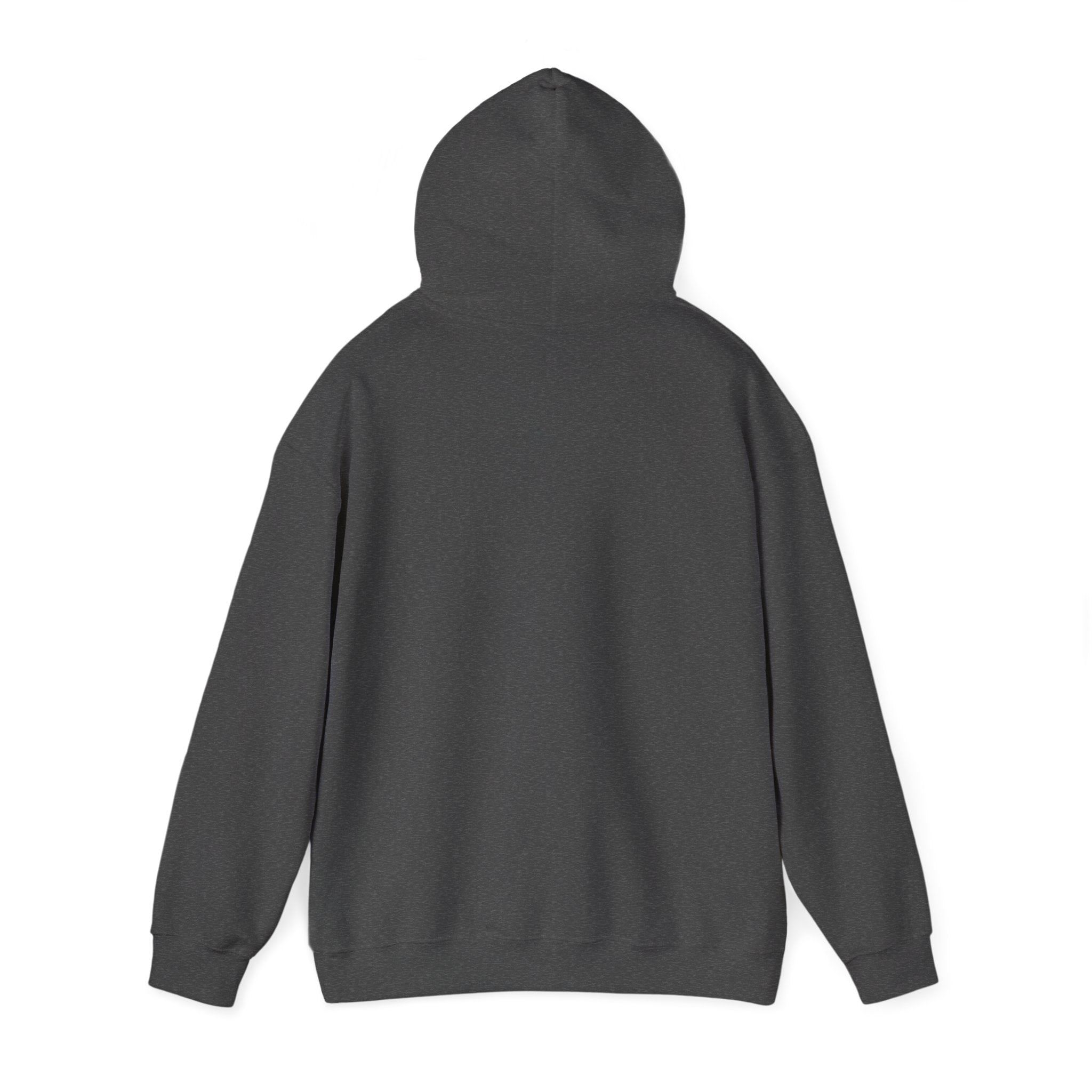 Original A12A Logo Adult Hoodie