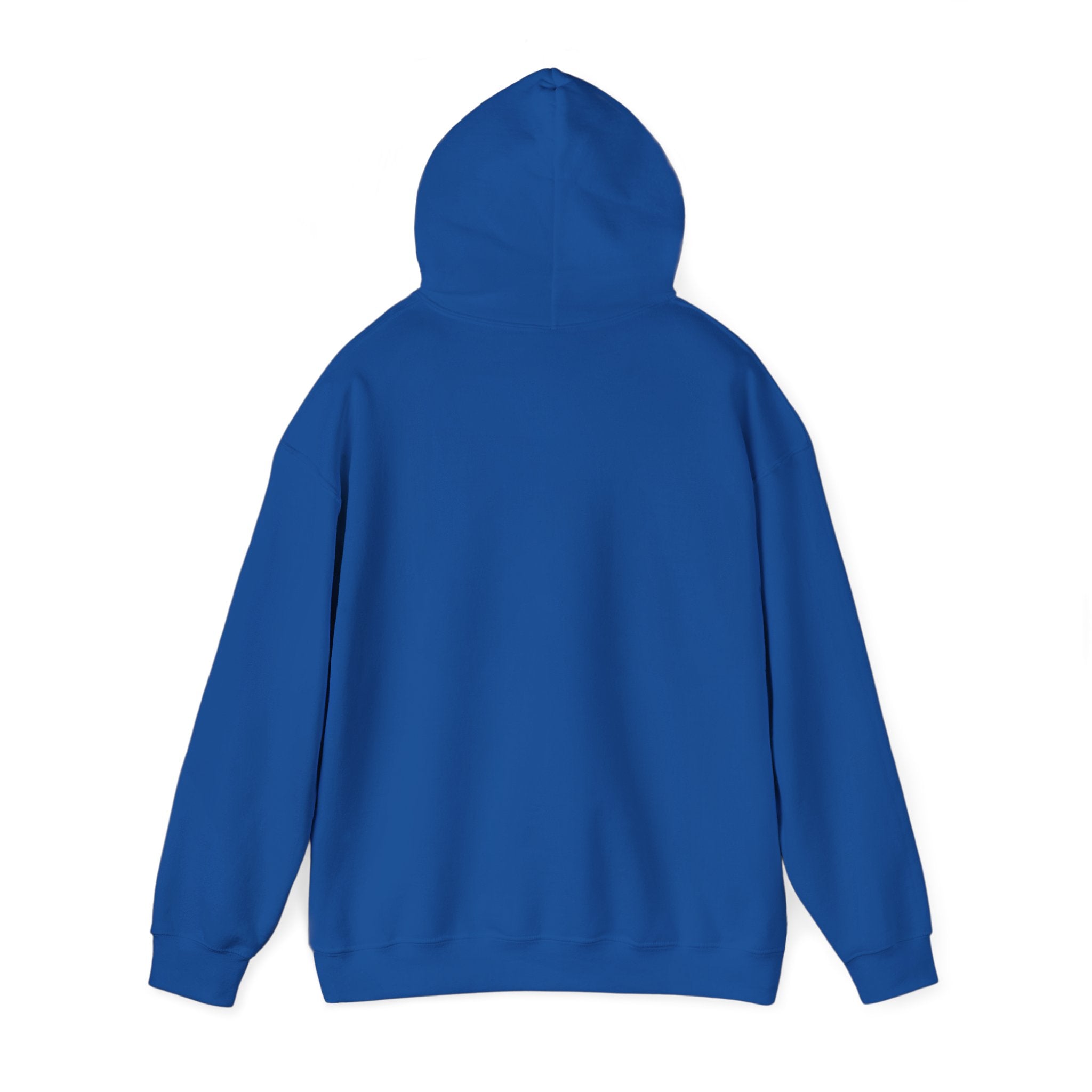 Original A12A Logo Adult Hoodie