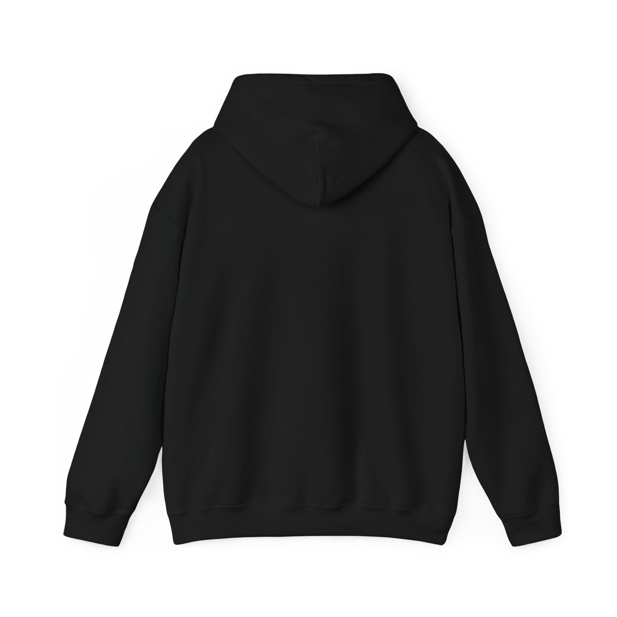 Original A12A Logo Adult Hoodie